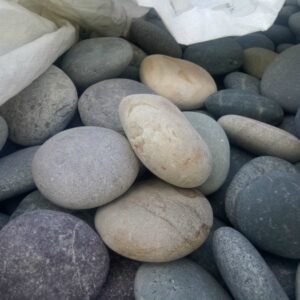 Multicolor Beach Pebble, Large (4-6 inches)