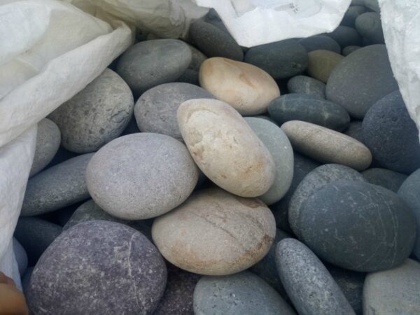Multicolor Beach Pebble, Large (4-6 inches)