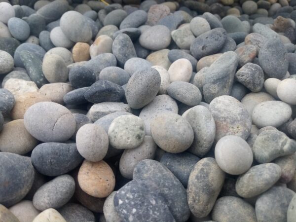Multicolor Beach Pebble Medium (2-4 inches)