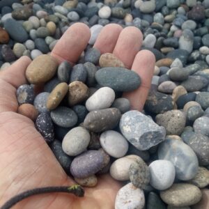 Multicolor Beach Pebble Gravel Small (3/4 inch)