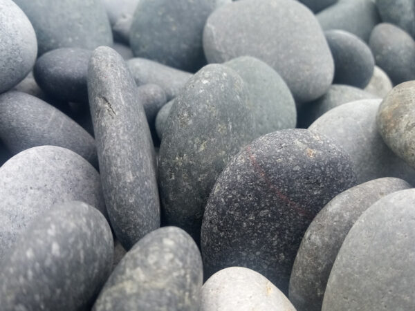 Gray Beach Pebble Medium (2-4 inches)